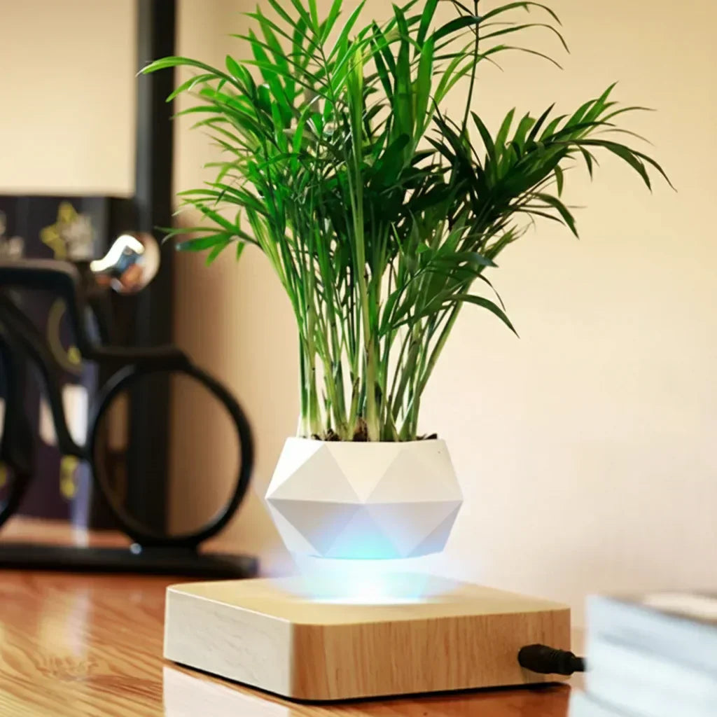https://cdn.shopify.com/s/files/1/0965/8109/1655/files/2eabf651-39d2-4db9-a7f3-e588617b4b94_4e009a11-babc-4991-9307-a77b205a01d7.webp?v=1772119781